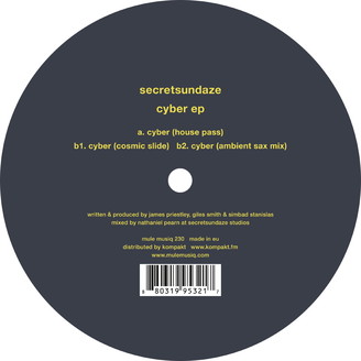 Secretsundaze - Cyber ep : 12inch