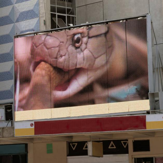 Poison - Poison : 10inch