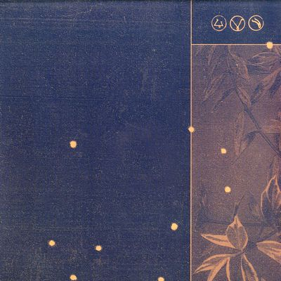 HAYES & ZEITGEIST - Otway Chimes
