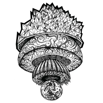 Obeah & Prynox - Fix Up (ft. Rider Shafique) / Influence : 12inch