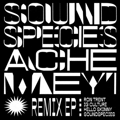 Sound Species & Ache Meyi - Remix EP (Ron Trent, Ig Culture, Hello Skinny Remix) : 12inch