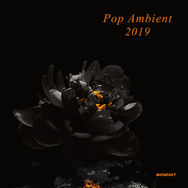 Various - Pop Ambient 2019 : 2LP＋DL