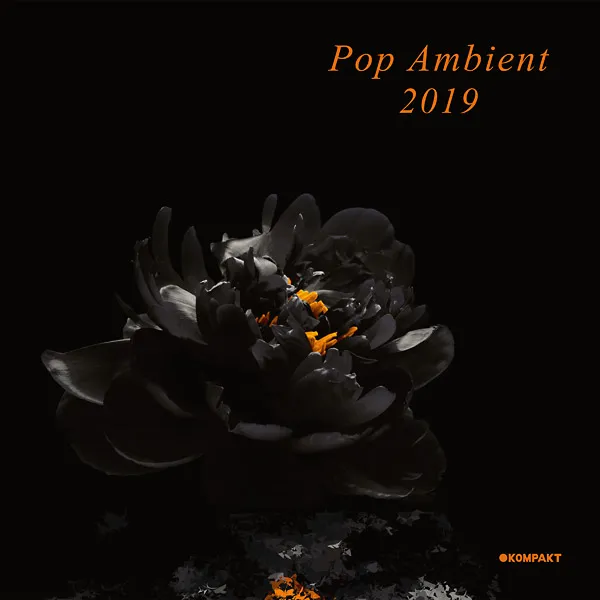 Various - Pop Ambient 2019 : 2LP＋DL