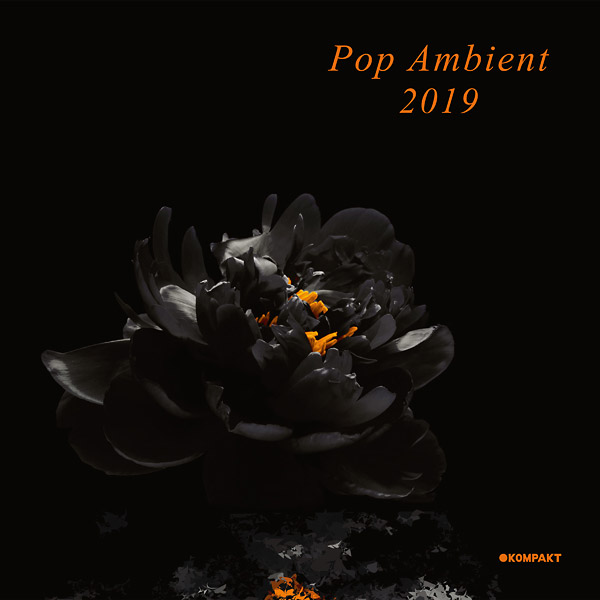 Various - Pop Ambient 2019 : CD