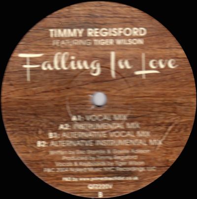 Timmy Regisford Feat. Tiger Wilson - Falling In Love : 12inch