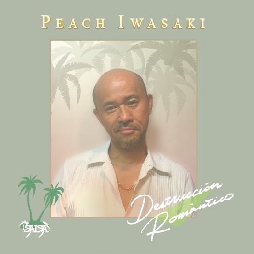 Peach Iwasaki（ピーチ岩崎） - Destruccion Romantico : MIXCD