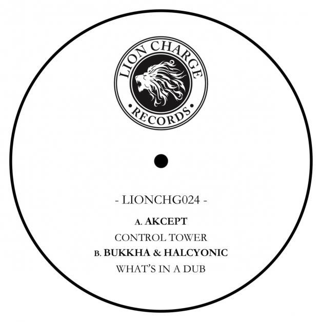 Akcept / Bukkha & Halcyonic - Control Tower / What's In A Dub