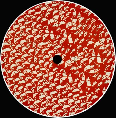 Lapien - Brumal EP : 12inch