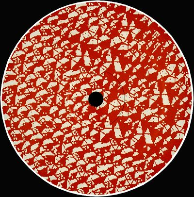 Lapien - Brumal EP