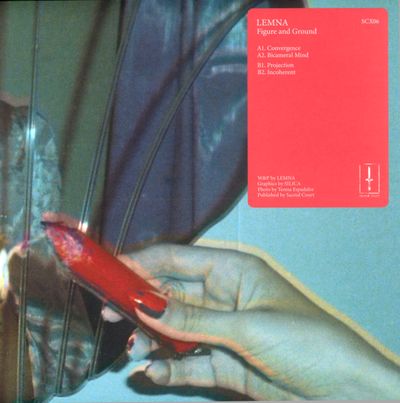 Lemna - Figure And Ground : 12inch