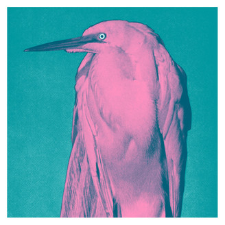 Joannes - Got Needs