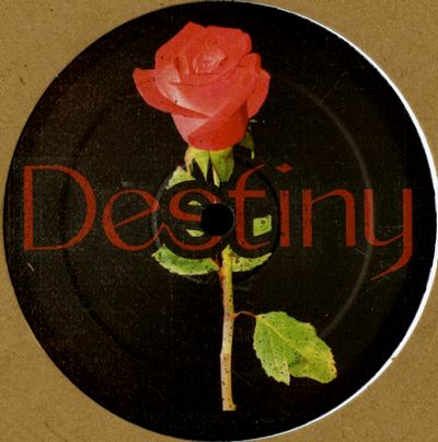 Unknown Artist - Destiny : 12inch