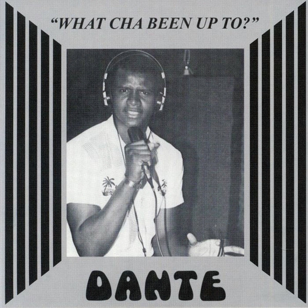Danté - What Cha Been Up To? : 7inch