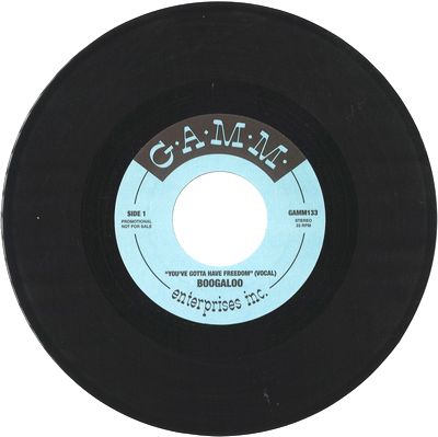 Boogaloo - You Gotta Have Freedom : 7inch