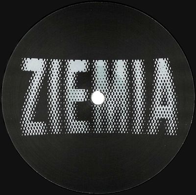 Earth Trax, Private Press, Newborn Jr. - ZIEMIA 001 : 12inch