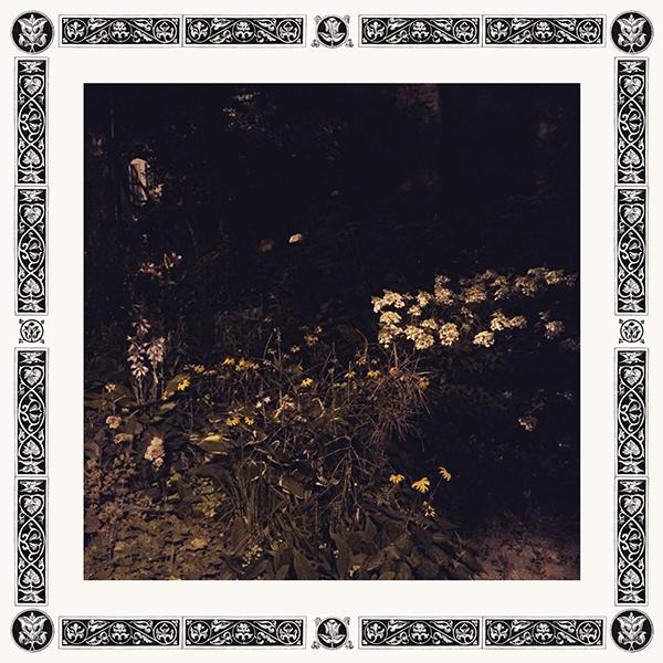 Sarah Davachi - Pale Bloom : LP