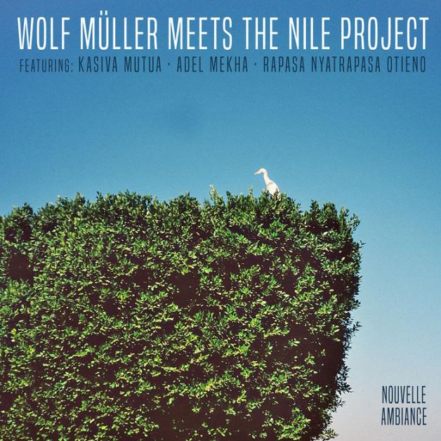 Wolf Müller Meets The Nile Project - Wolf Müller Meets The Nile Project EP : 12inch