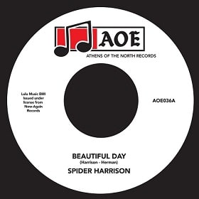 Spider Harrison - Beautiful Day : 7inch