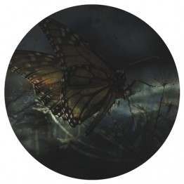 Autoism / Serge Geysel - Split EP : 12inch