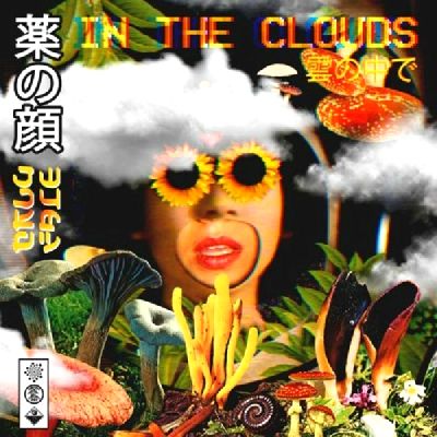 Drugface - In The Clouds : 12inch