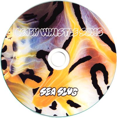 Seaslug - BEACH WHISTLE SONG : CD-R