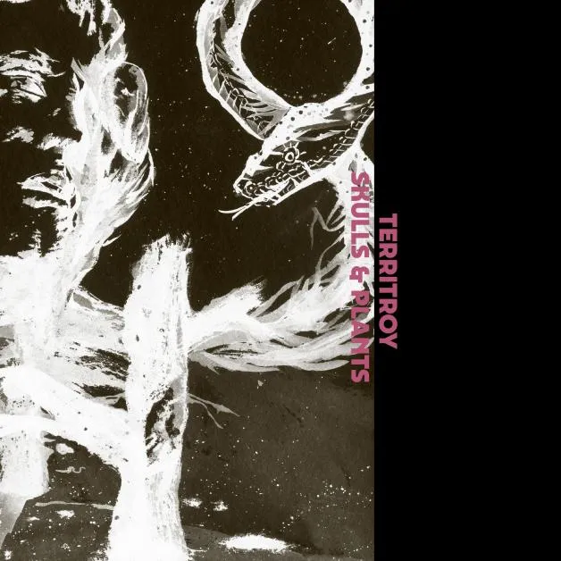 Territroy - SKULLS & PLANTS : 2x12inch