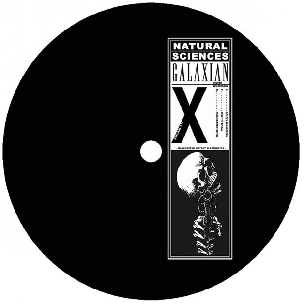 Galaxian - Golden Armageddon : 12inch