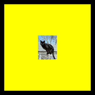 Pitto - Panthers On The Roof EP