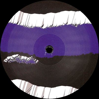 Tibia - Polypola : 12inch