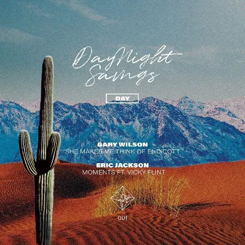 Various - DNS001 : 12inch