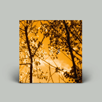 Gas - Königsforst | NEWTONE RECORDS