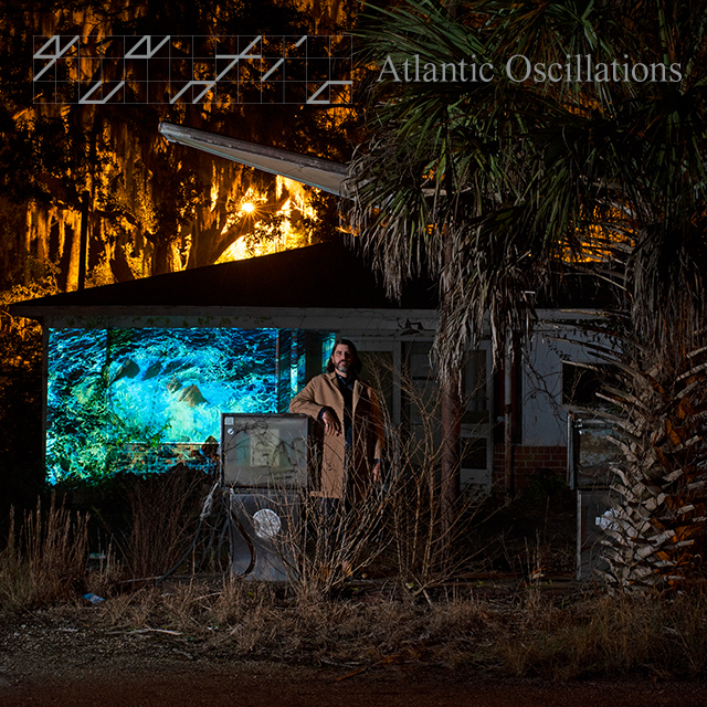 Artist: Quantic : Newtone Records