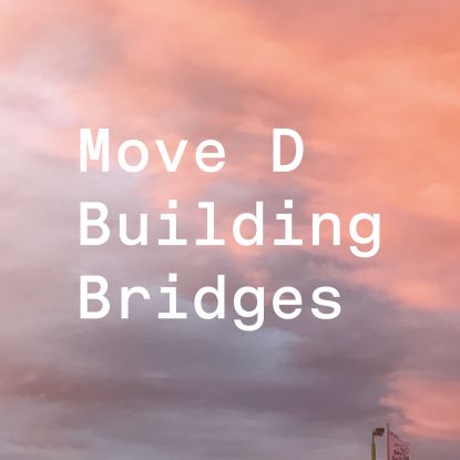 Move D - Building Bridges : 2LP