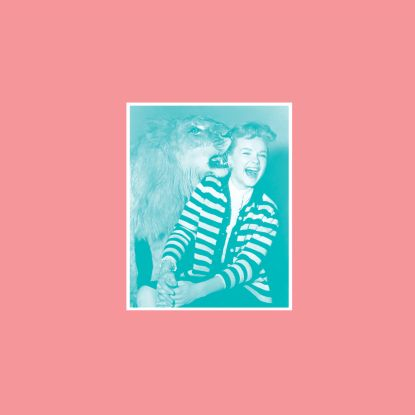 Artist: The Revenge : Newtone Records