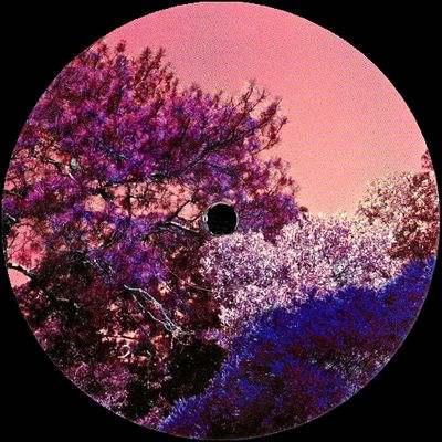 Tom Trago - SAUDADE