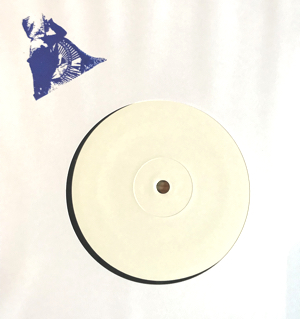 Unknown Artist - SHELVED RECORDINGS 2.2 : 12inch