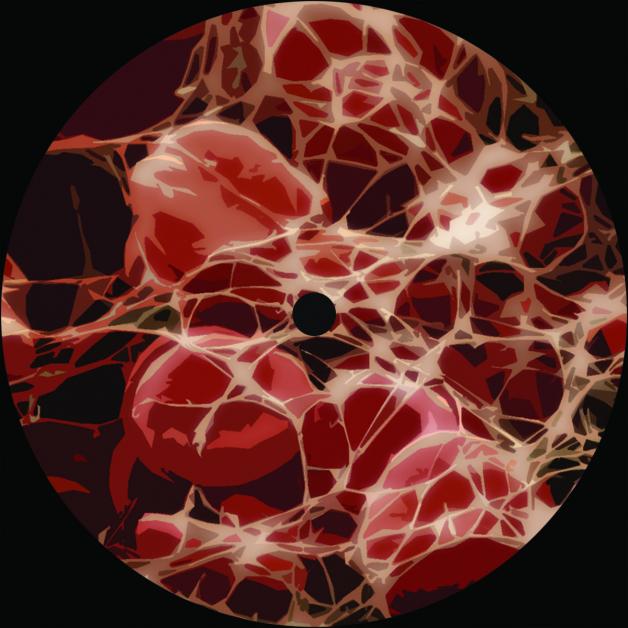Pathic - Rebirth EP : 12inch