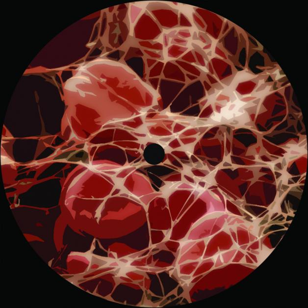 Pathic - Rebirth EP