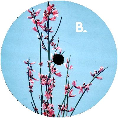 Label: Balearic : Newtone Records