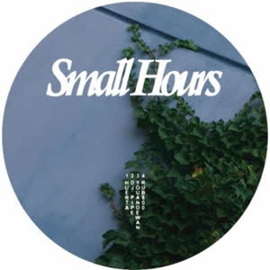 Various - Small Hours 02 : 12inch