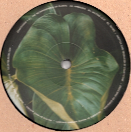 Edanticof - The Metamorphosis of Plants : 12inch