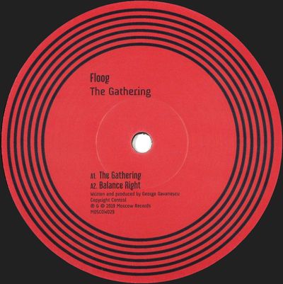 Floog - The Gathering : 12inch