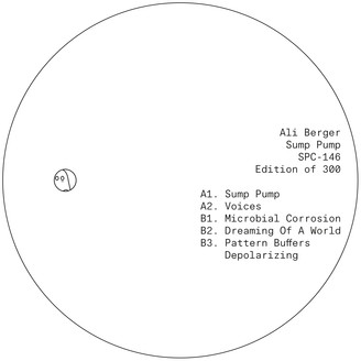Ali Berger - Sump Pump : 12inch