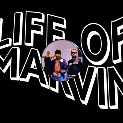 Life of Marvin - In The Night : 12inch