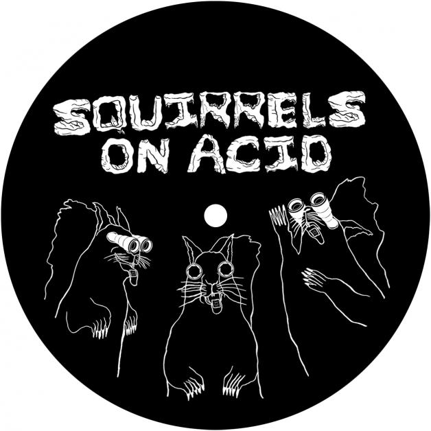 Various - SQUIRRELS ON ACID : 12inch