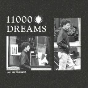Jan Van Den Broeke - 11000 DREAMS : LP