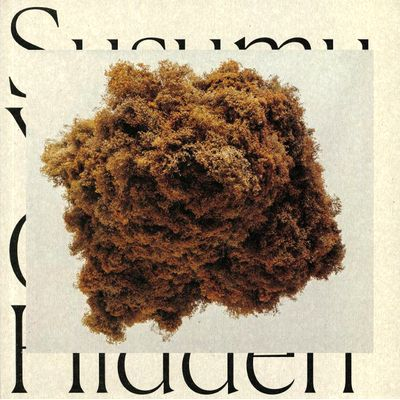 Susumu Yokota - Cloud Hidden