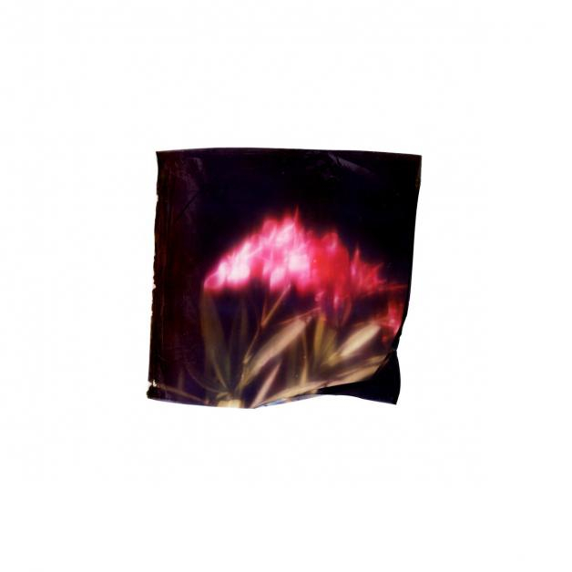 Gigi Masin & Jonny Nash - Postcards From Nowhere | NEWTONE RECORDS