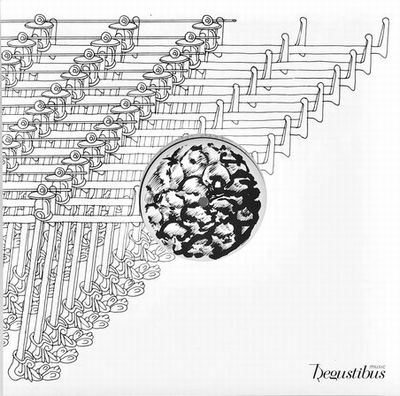 Ditongo - Calypso : 12inch