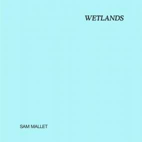 Sam Mallet - Wetland